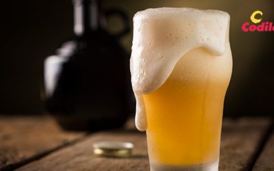 Cómo elegir el mejor proveedor de cervezas para bares en Alicante