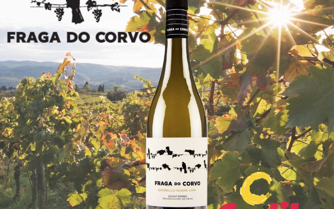 Codile Fraga do corvo vino blanco monterei distribuidor de vinos alicante