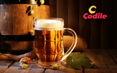 Cervezas de Importación en Formato Barril