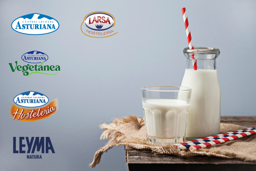 Distribuidor de Alimentos Codile Lácteos